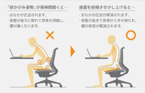 シルフィーの前傾機能